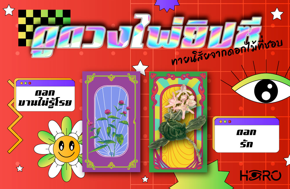 ดูดวงไพ่ยิปซี 19-8-66