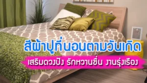 สีผ้าปูที่นอนตามวันเกิด 2566